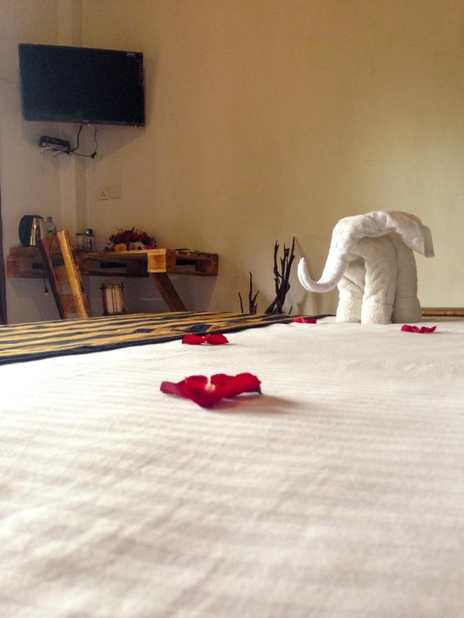The Spice Lodge เอลลา ภายนอก รูปภาพ